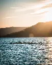 Coucher de cormorans